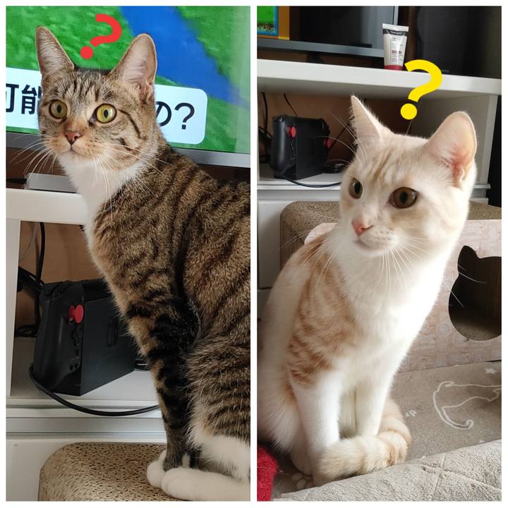 8d4a571d fdc8 4412 bb72 0377e5aaae13 1674001351569