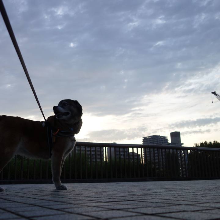 8d4a5997 c074 48eb a321 8bdd841937af 1526553119252