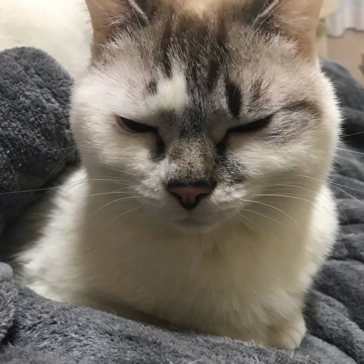 8d4a97bc fa25 425e 8ced 90a6a071d4c3 1551576666377