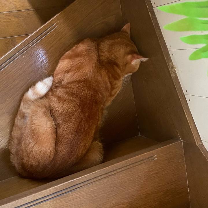 8d4ab1a3 d7bf 4124 9771 cda123a4dc7c 1756449332888