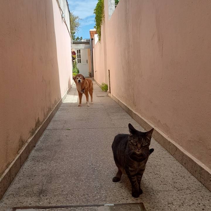 8d4b0f9b ca8e 42c1 b3ca ef6045b59f12 1763604258385