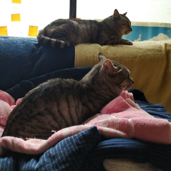 8d4b5ddd 9969 4a87 99e2 950e35a50807 1621911112348