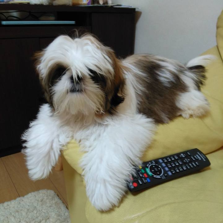 8d4b65a9 806c 4e72 9cbc 082c69d2c559 1538739677756