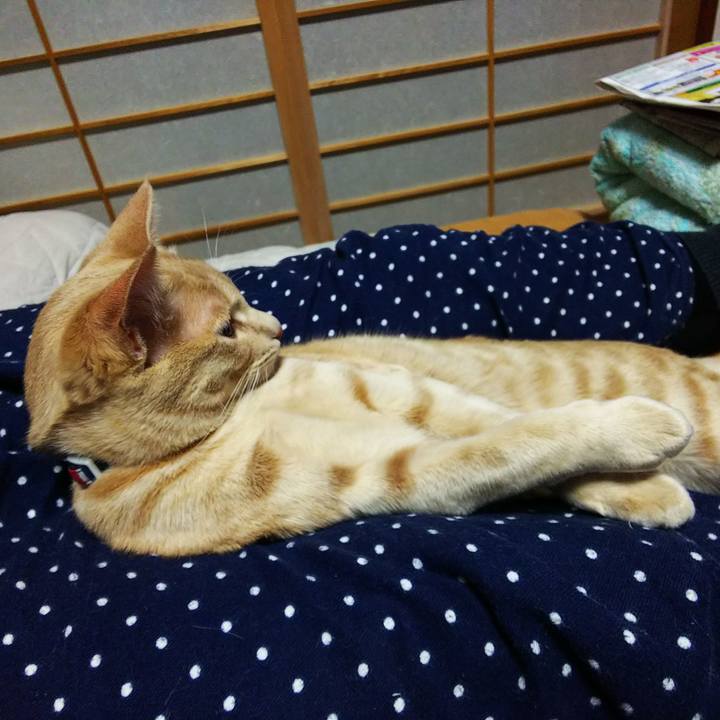 8d4b8098 07c9 4185 9ffc 852caa8528e2 1551443734974