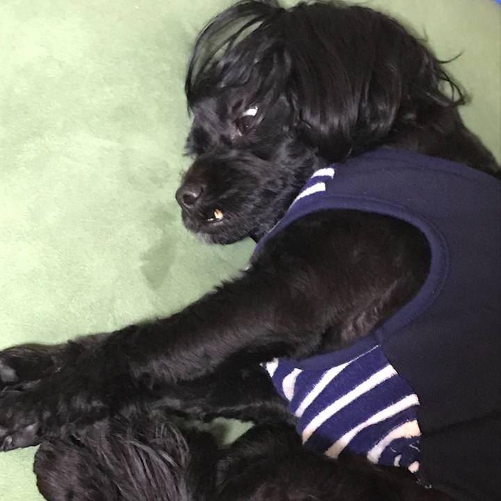 8d4ba0fc 4593 4feb a047 21088f71817a 1509549135100