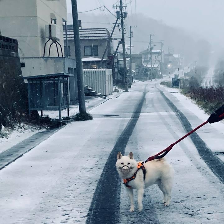 8d4ba763 0770 42c7 976d bfe709398966 1669762655586