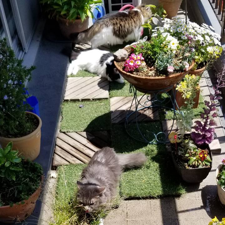 8d4bc0f4 de07 4f27 b32e 76d8241b29ed 1555590906173