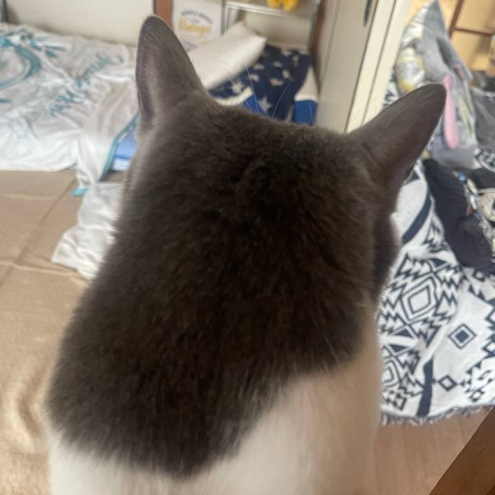 8d4bea65 2d4e 4856 998f 5788ad20e10d 1692345012311