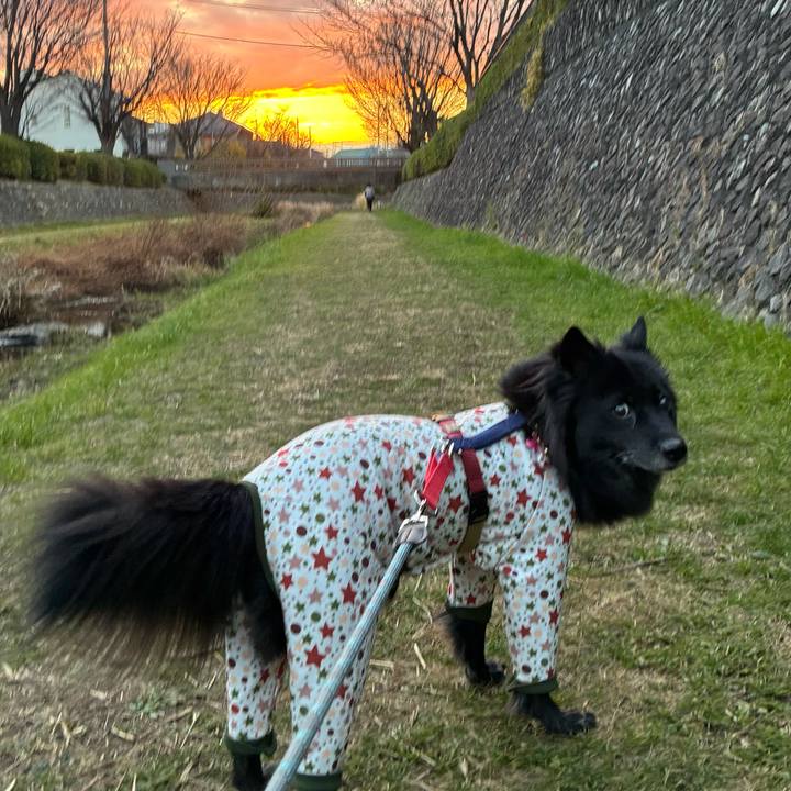 8d4c0b78 5ff3 4e13 a646 68f0028013e9 1766103764690