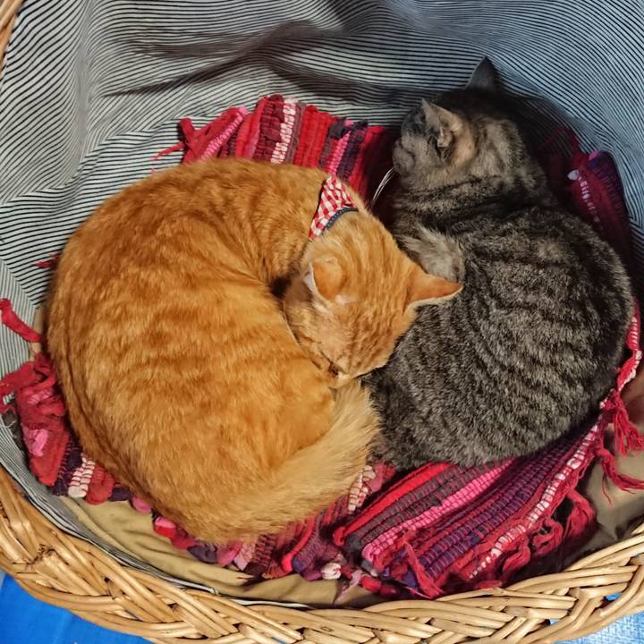 8d4c15d6 6f65 41a1 81a3 50a1a9d2258e 1558514612070