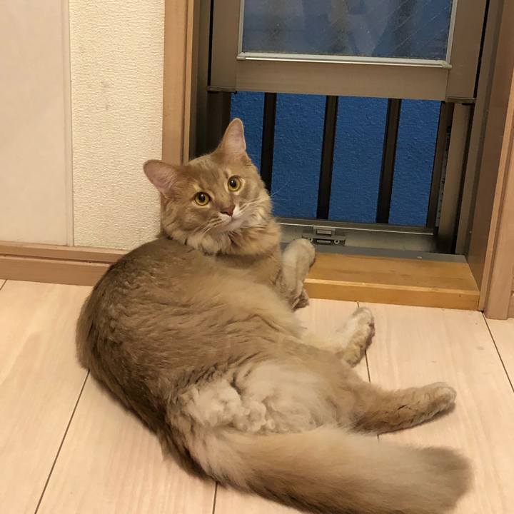 8d4c2795 de37 46ec 8454 f0f244cea9a0 1566619313569