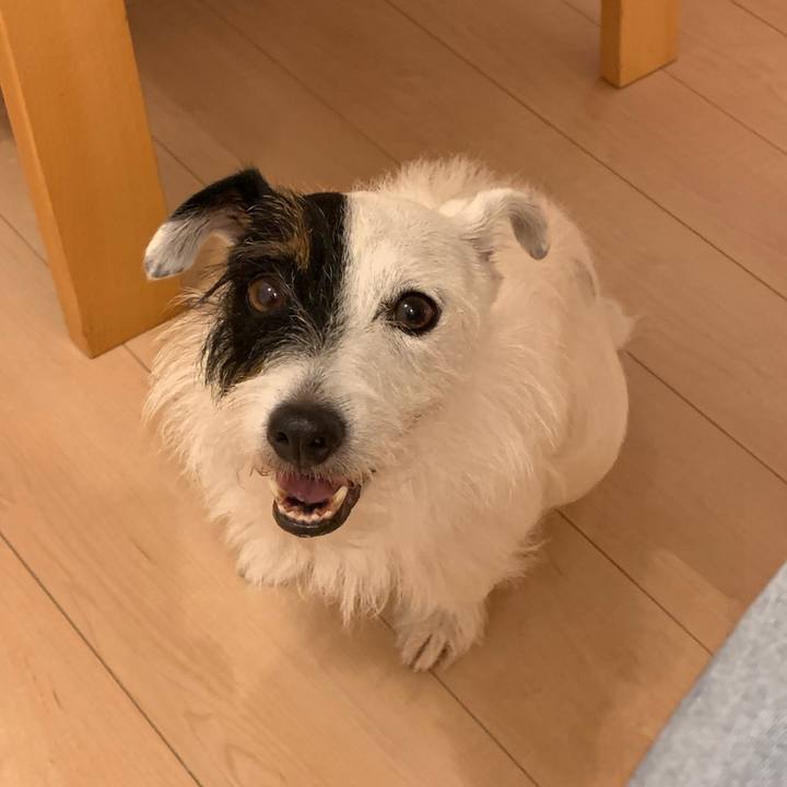 8d4c4131 1be3 43dd bd7c abd515671bc2 1568121087638