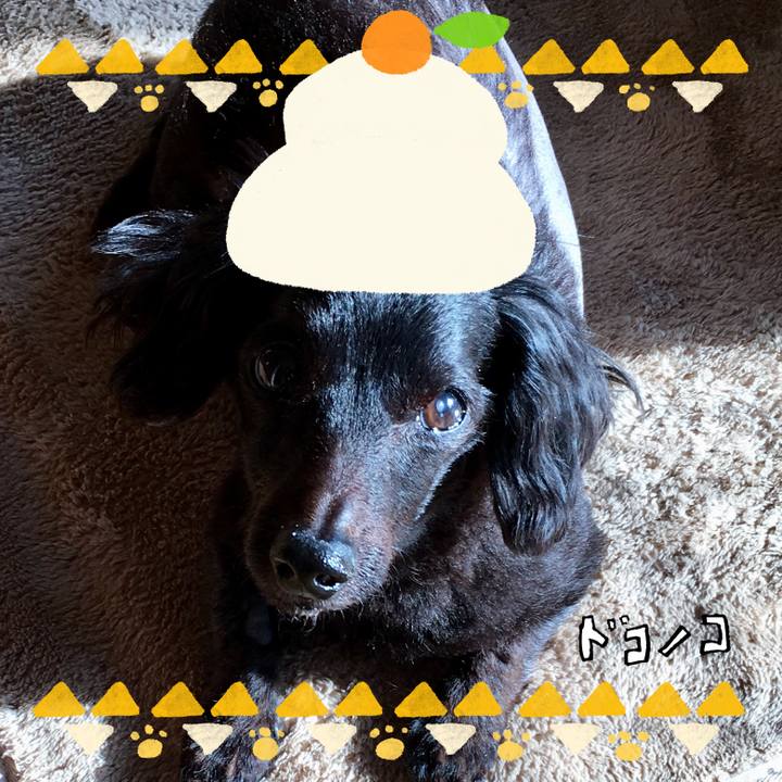 8d4cada0 c974 46ea 83dc a424221f4d97 1704163975799