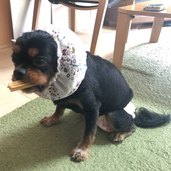 8d4cb063 21c4 452a a56d f3147a61fe14 1538046452280