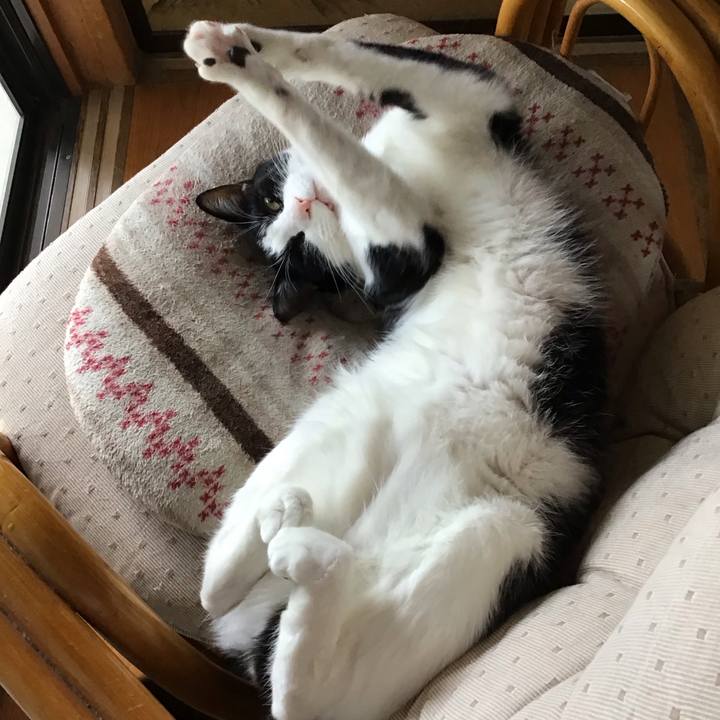 8d4cbba1 d76e 43af 9e29 c6fc51d0862e 1718180860243