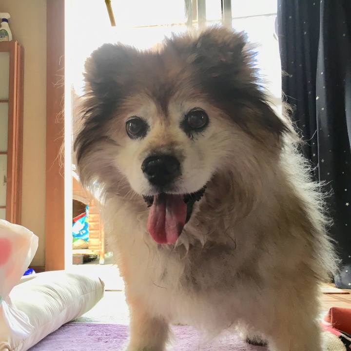 8d4cd7ef 61c6 4bf2 b64e 560038d2a7b6 1627101313949