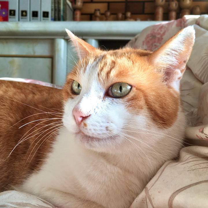 8d4ce77c 58a1 47e7 b744 b49dcbfed14f 1575640649769