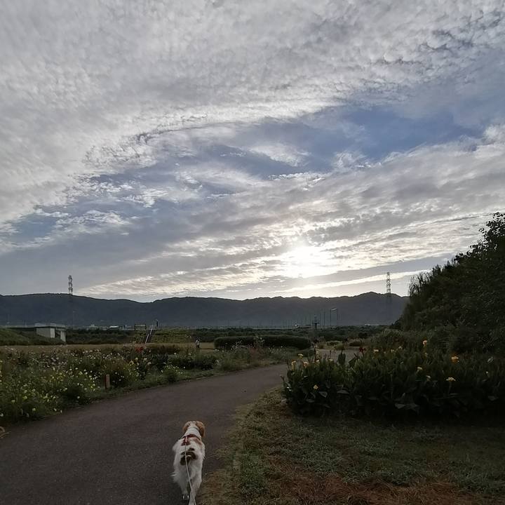 8d4ce901 cba0 42b4 8dac 50f174f5e34f 1601943079092