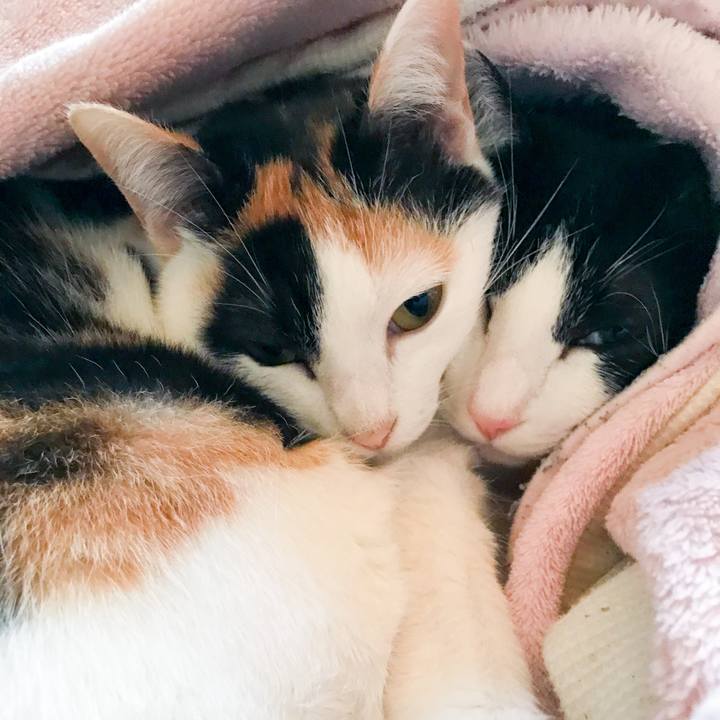 8d4d0b92 6d43 4417 8c74 f5b49ce28881 1514444852770