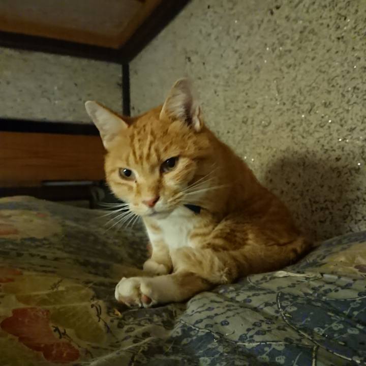 8d4d1642 5269 405e 9916 a2e426041bfb 1601468455115