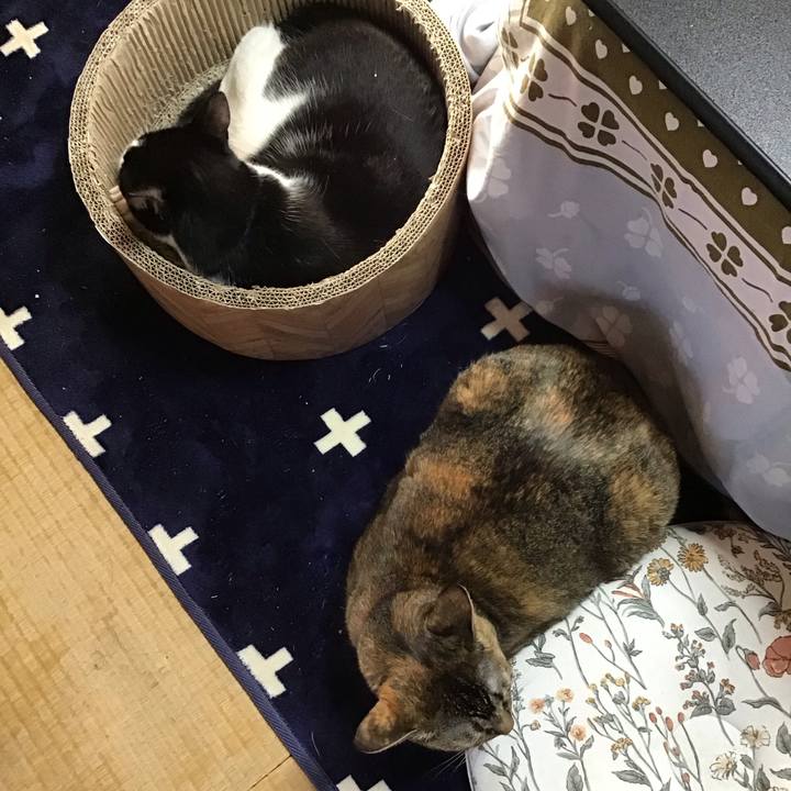 8d4d1f1f e3d5 4d23 a77a 2e9b258136b7 1708939801504