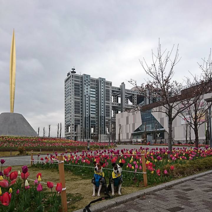 8d4d541d 0b2b 47b0 a73c 10950e3451b6 1553907033674