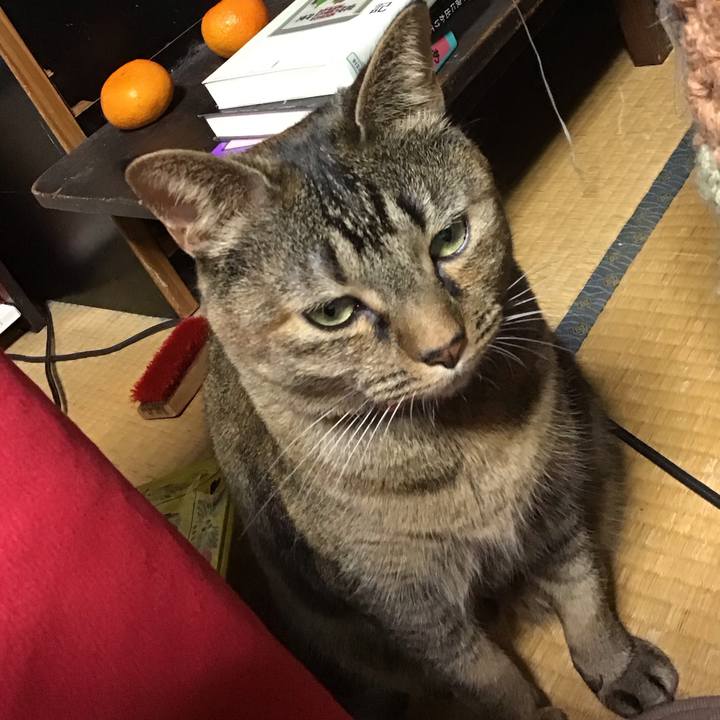 8d4d8a2e d53a 4ae9 acb9 d42b476dc615 1733221222415