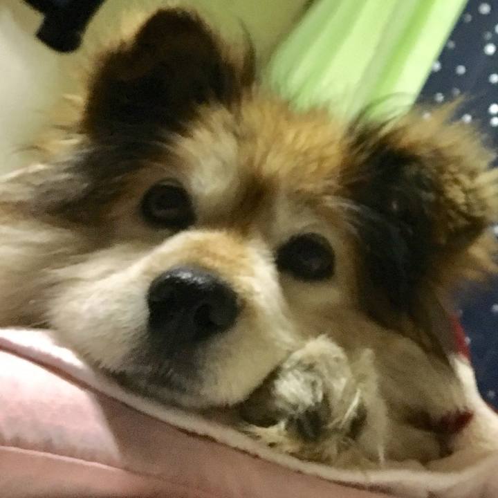 8d4dd297 7a87 43ca 9e39 a3103a10f383 1602937669628