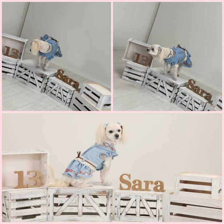 8d4e1425 a49f 4cfb b642 bb7d8322ee9a 1774083519484