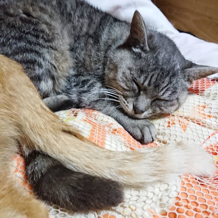 8d4e37dd 50a6 4b0d a369 324201c1f7ad 1570797416495