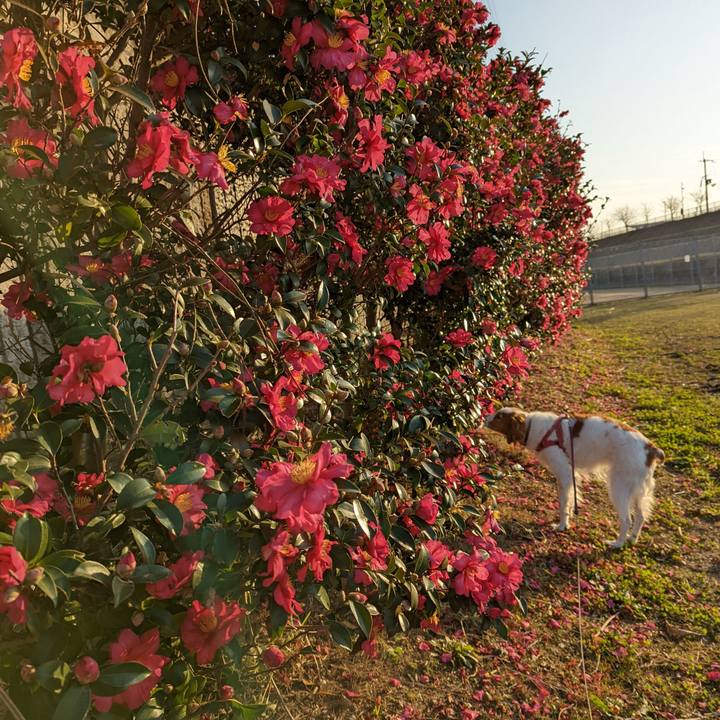 8d4e8c24 c5ed 41c0 a22d d3162ddcf021 1639555788584