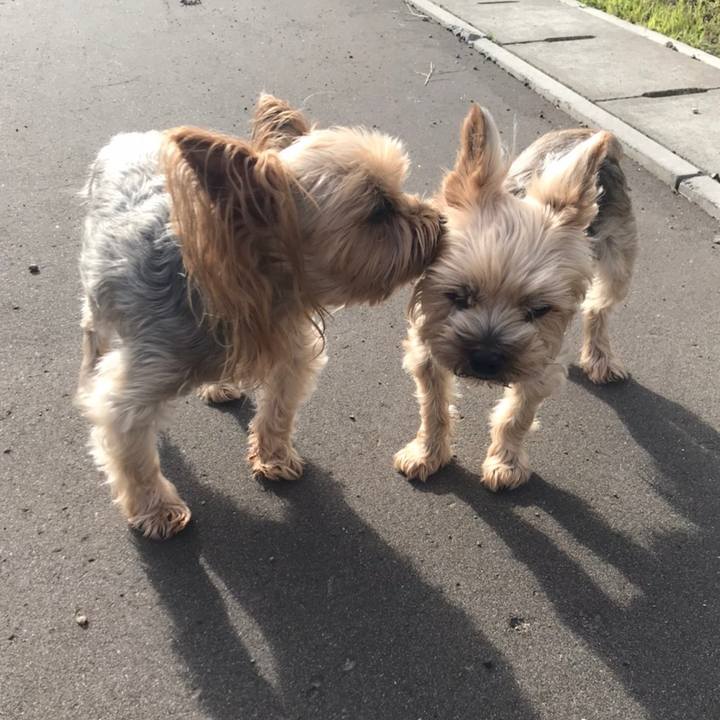 8d4e8ca1 708f 4b09 8983 2ca0dd0d001b 1595581972268