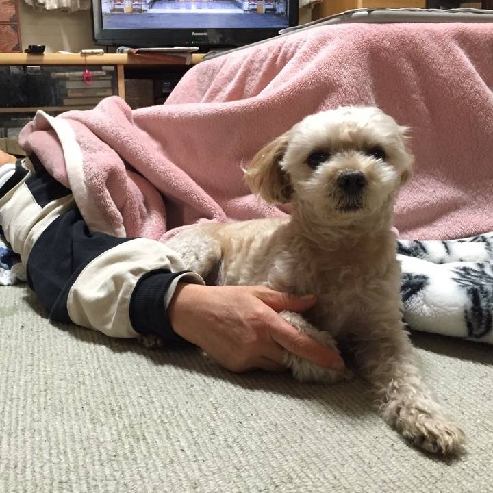 8d4e9245 5014 40c5 841c dc4a0ab6c834 1574524057973