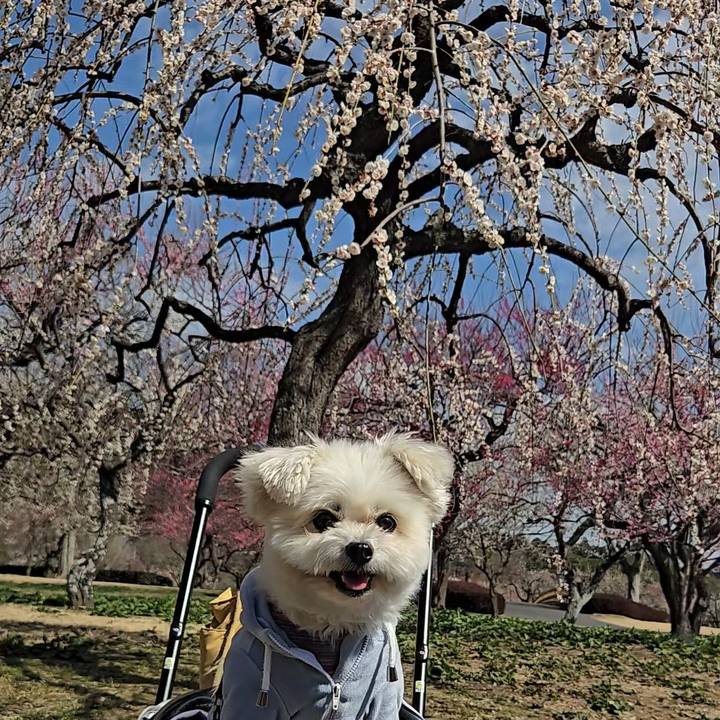 8d4e9a94 8e89 4302 a64b 01a8edd0f329 1772260946612