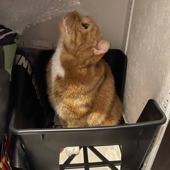 8d4ec2db 02b2 4dbd 8b54 be7c51890fba 1662169264798