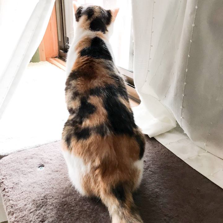 8d4ecddb 145e 460e b9db 8424162c72ac 1529892165386