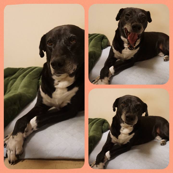 8d4ee2c3 b02b 4c62 affd 5800d3ff17f5 1755082924147