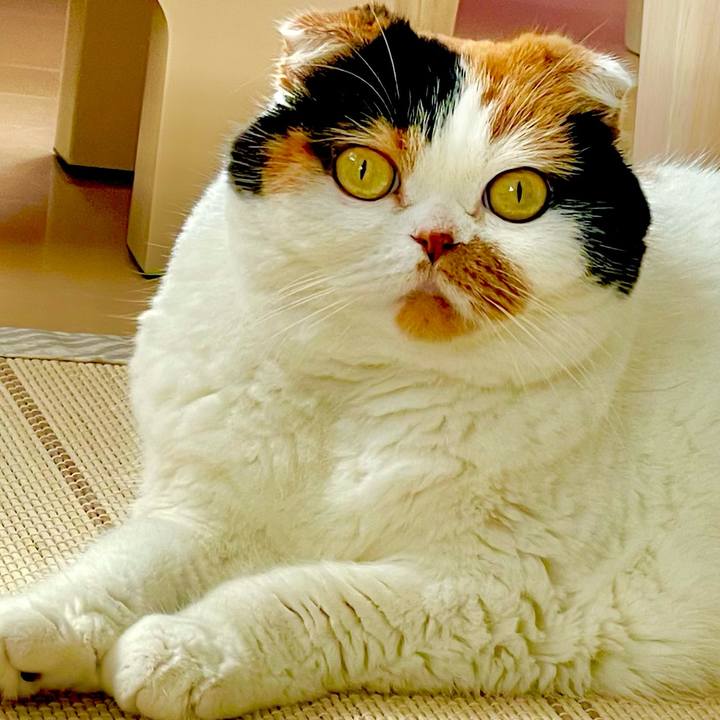 8d4ef0c1 2500 47b3 be80 ef083f772592 1663028447606