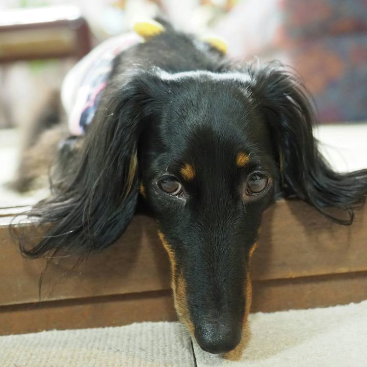 8d4f0b1a 434d 4f1a b42b 3b501e07ebff 1532137208232