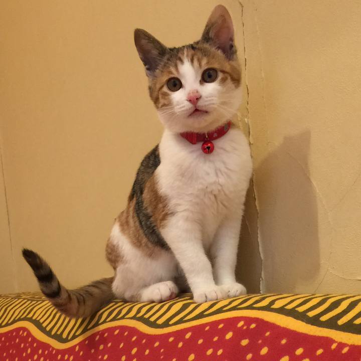 8d4f337c f6d1 4ea9 8d04 9bf8e393b57b 1579659478693