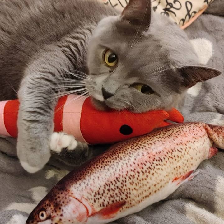 8d4f3f2e 6425 4070 a499 0626dda71075 1614401493121