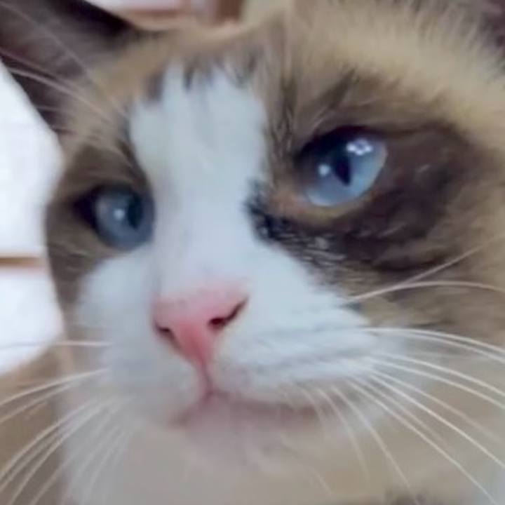 8d4fd436 a33e 429d b5fc 371fba2e9440 1730090804804