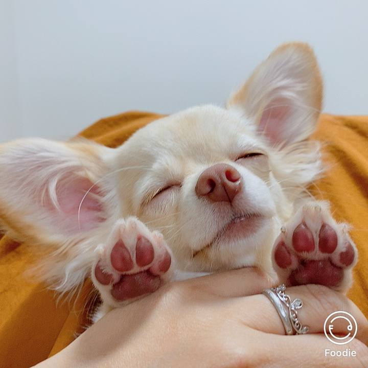 8d4fe1ef d545 469b 8422 8bdeb634444c 1604224360657