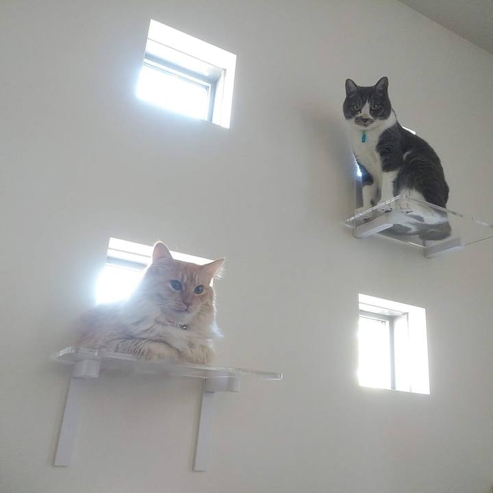 8d5002b1 a6fa 48ed 997a daeca17093f9 1627371480640