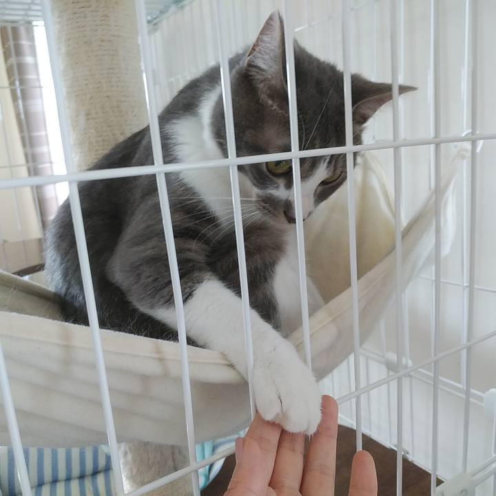 8d500b27 e415 4231 a6d8 01dbd8ec5aea 1591579838300