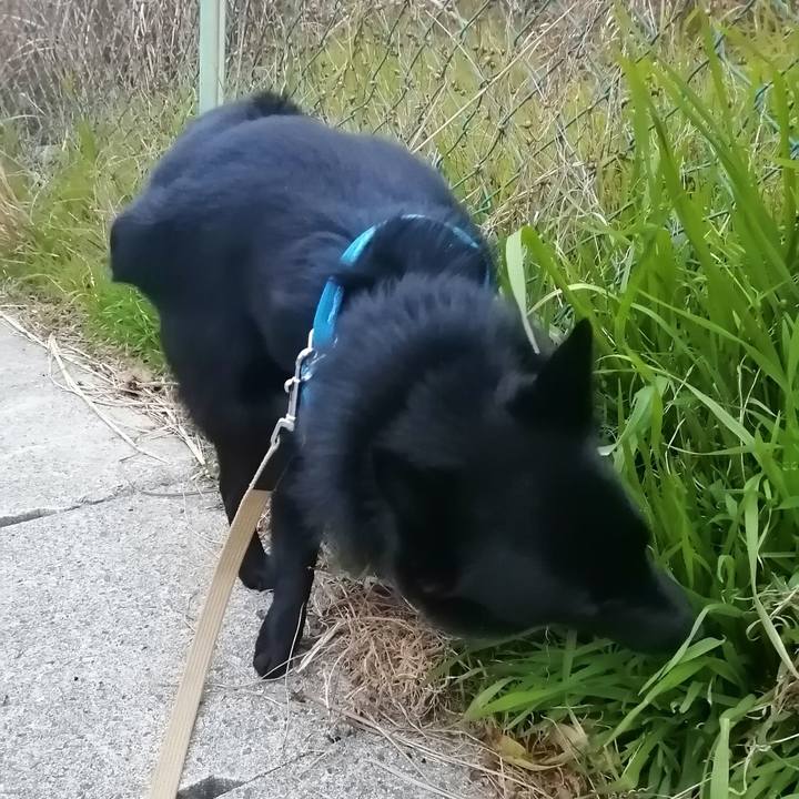 8d503763 d0d1 470f 98d9 d1a052a4bf94 1613513832021