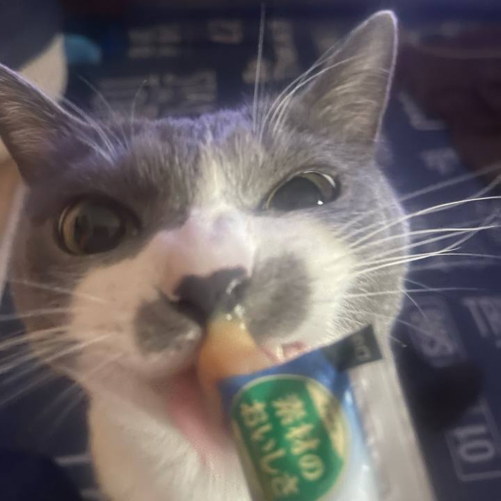 8d5057b9 ede0 4cc2 883b b0749b7b2ae5 1707979549932