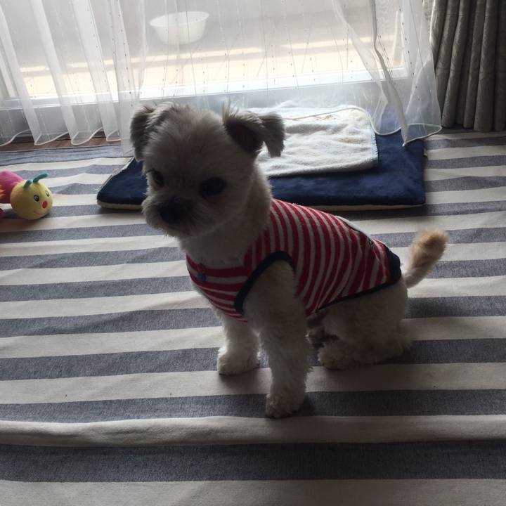 8d50b1e0 1119 47d9 9eeb d6f75c57c12e 1523491155748