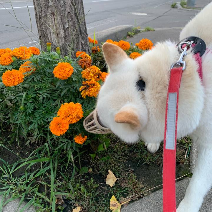 8d50b6b8 6595 45b0 8440 9f007e83ef00 1567199931989