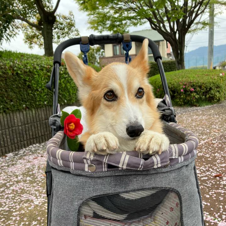 8d50e3e0 7e39 41c7 a363 1ba3f8d56c70 1775375769092